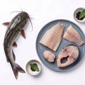 Cat Fish