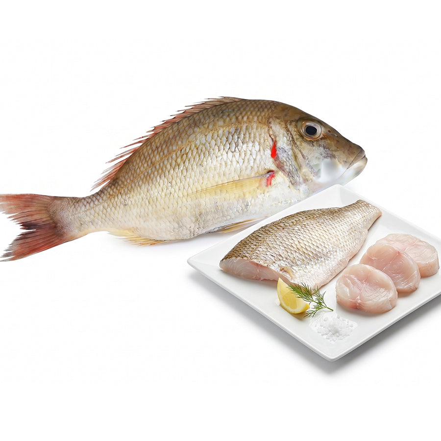 Emperor fish