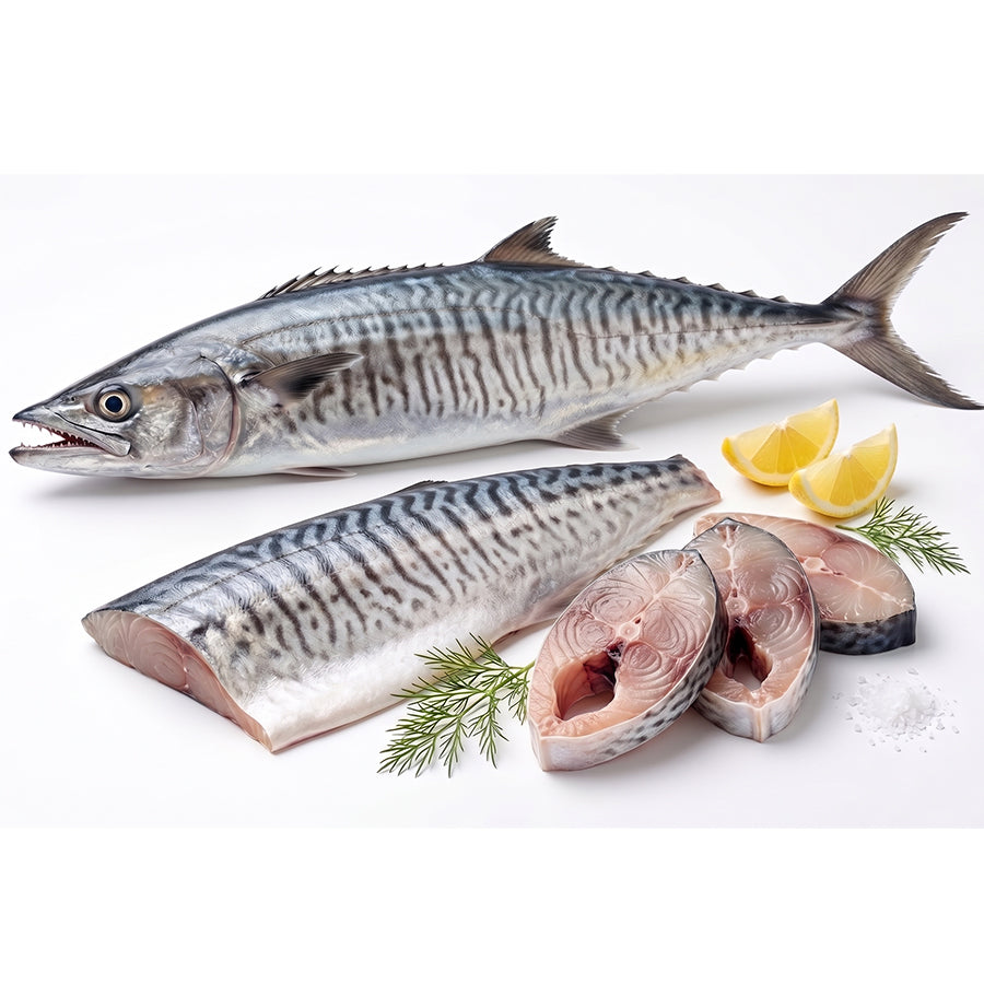 Kingfish