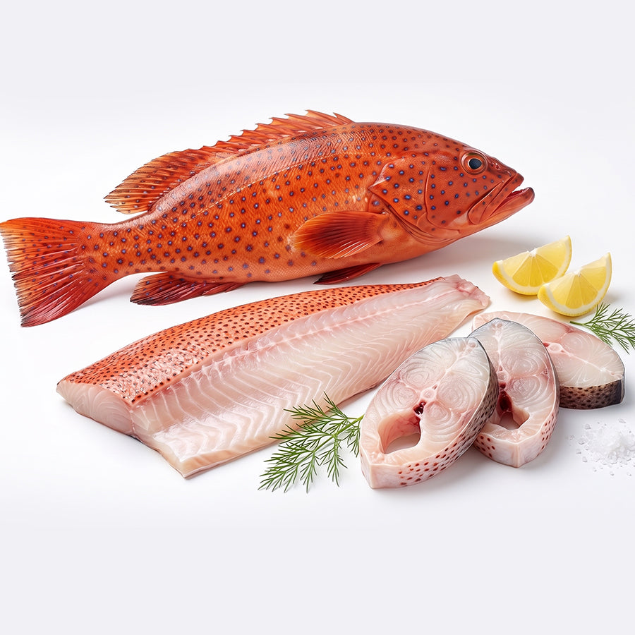 Red Grouper