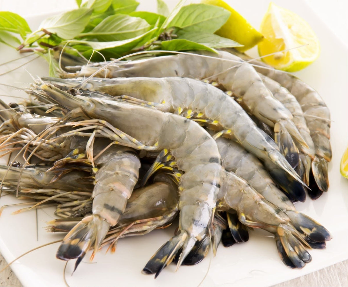 Prawns