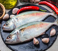 Indian Mackerel
