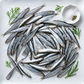 Anchovy Headless