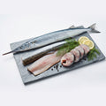 Needle Fish