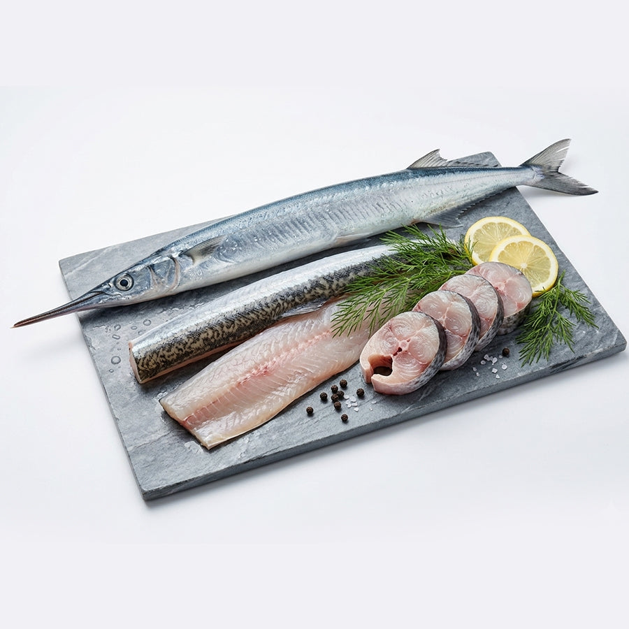 Needle Fish