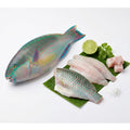 Parrot Fish