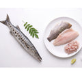 Pickhandle Baracuda