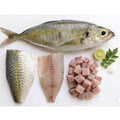 Scad Fish