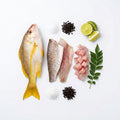 Yellow Snapper